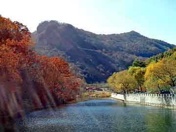 新澳天天开奖资料大全旅游团，贵士论坛